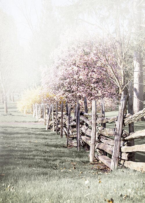 Landscape Greeting Card featuring the photograph Spring landscape with fence by Elena Elisseeva