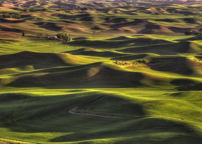 Wheat Greeting Card featuring the photograph Spring on the Palouse by Mark Kiver