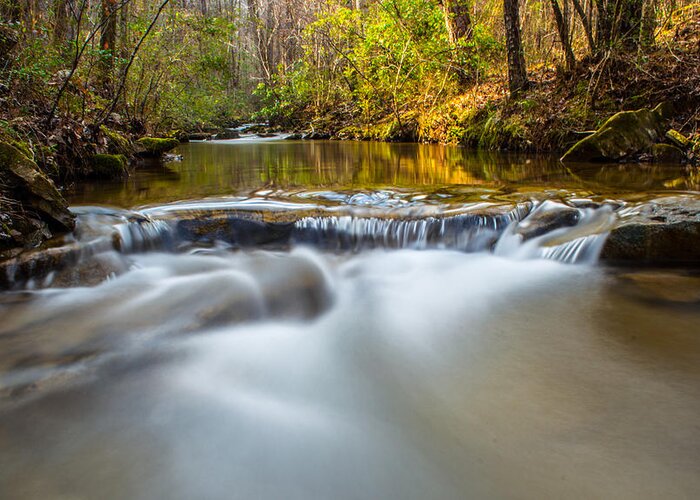 Stream Greeting Card featuring the photograph Spring Stream by Parker Cunningham