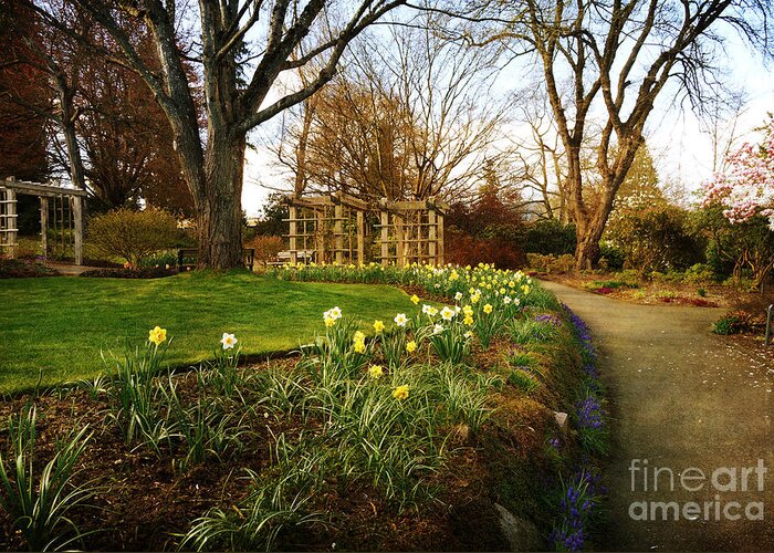 Spring Greeting Card featuring the photograph Spring Walk in the Park by Maria Janicki