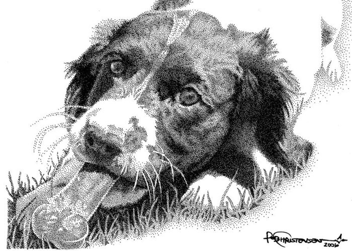 Dog Greeting Card featuring the drawing Springer Puppy by Rob Christensen