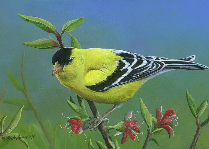 American Goldfinch Paintings Greeting Card featuring the painting Spring's Return by Mike Brown