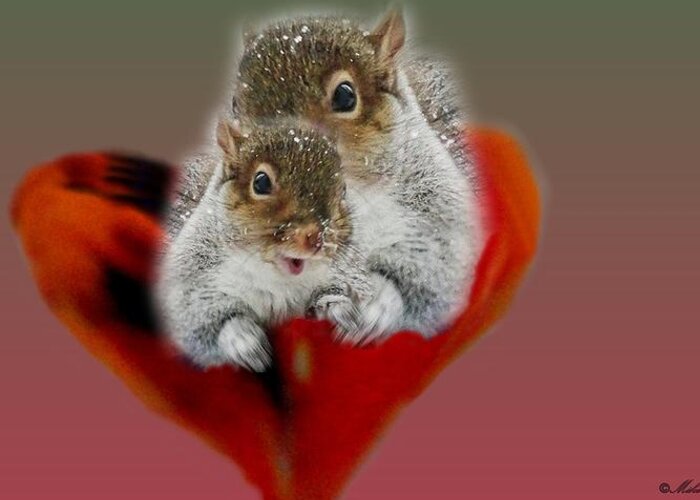 Squirrels Valentine Greeting Card featuring the photograph Squirrels Valentine by Mike Breau