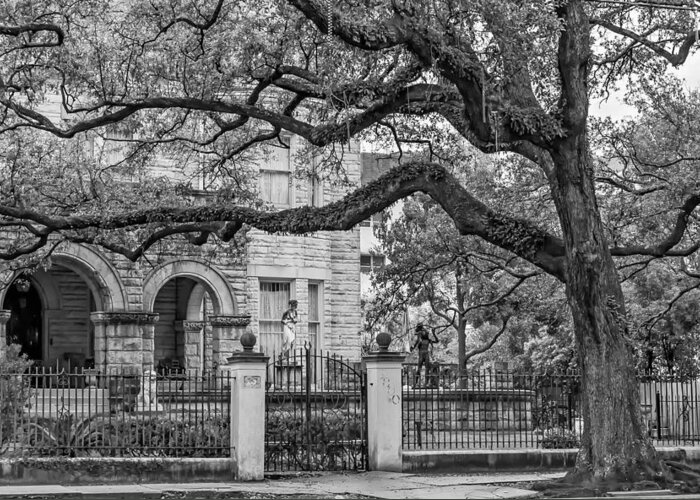  Home Greeting Card featuring the photograph St. Charles Ave. Mansion 2 bw by Steve Harrington