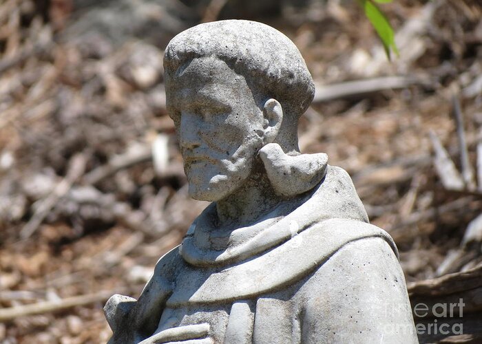 Saint Francis Greeting Card featuring the photograph St. Francis by Anita Adams