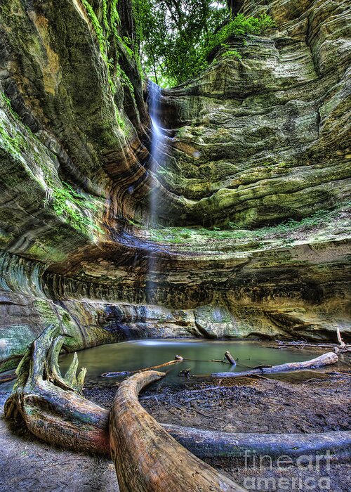 St Louis Canyon Greeting Card featuring the photograph St Louis Canyon by Scott Wood