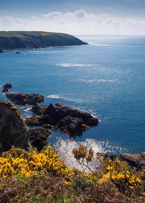 Birth Place Greeting Card featuring the photograph St Non's Bay Pembrokeshire by Mark Llewellyn