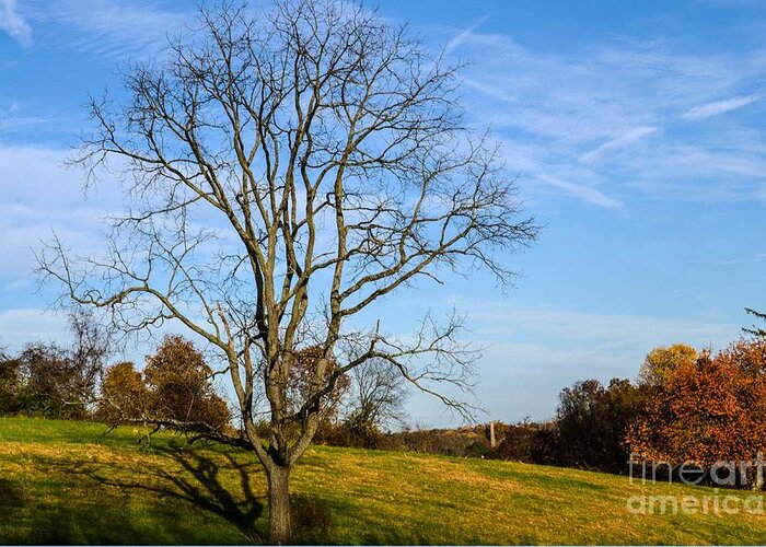 Landscape Greeting Card featuring the photograph Stand Alone by Judy Wolinsky
