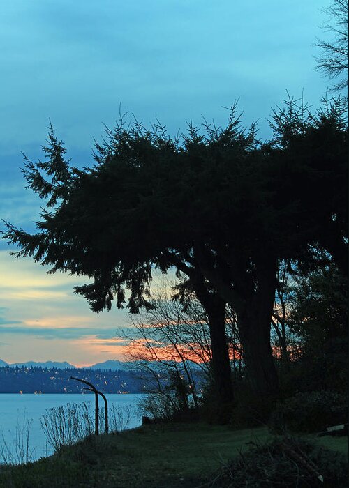 West Seattle Greeting Card featuring the photograph Standing Guard for Dawn by E Faithe Lester