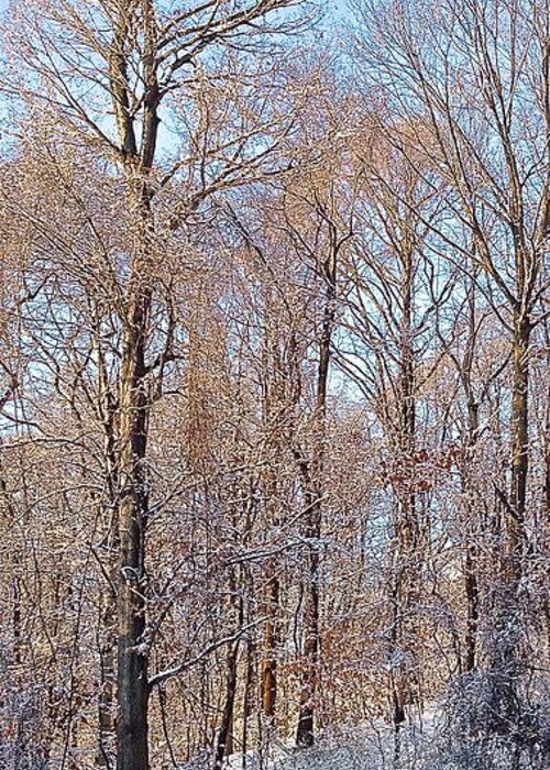 Winter Prints Greeting Card featuring the photograph Standing tall by Delona Seserman