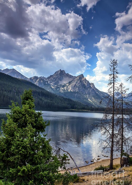 Rocky Mountains Greeting Card featuring the photograph Stanley Lake View by Robert Bales