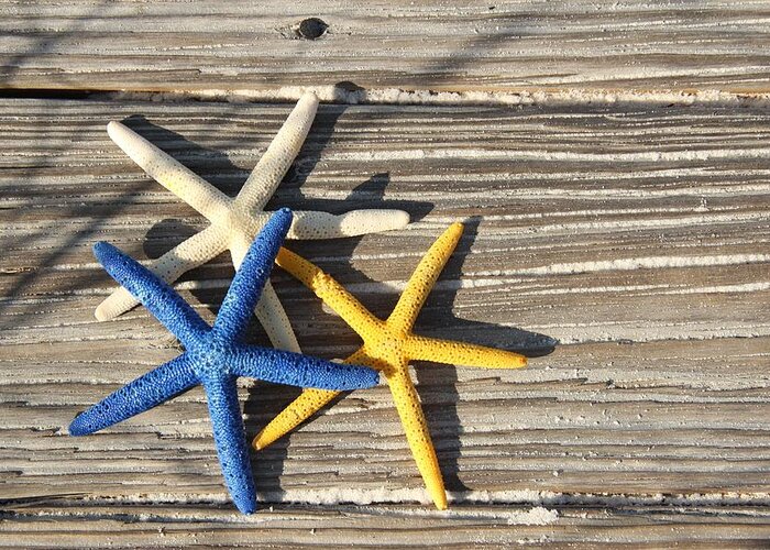 Starfish Greeting Card featuring the photograph Starfish by Elizabeth Budd