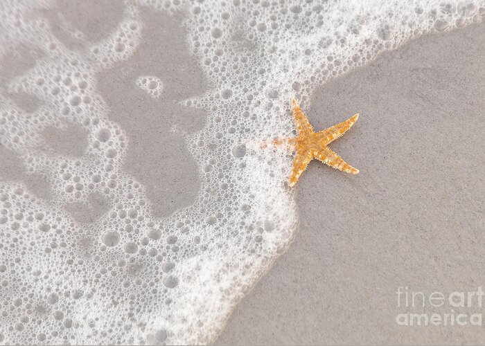 Only Greeting Card featuring the photograph Starfish in the Surf by Diane Macdonald