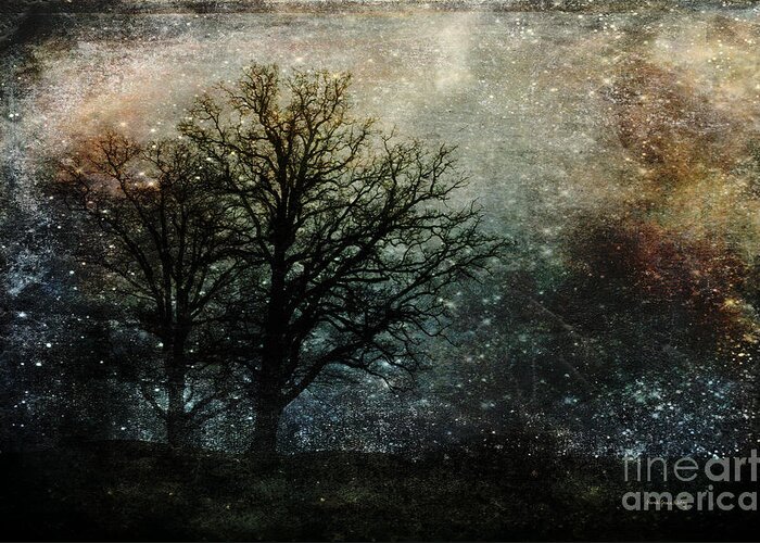 Trees Greeting Card featuring the photograph Starry Night by Randi Grace Nilsberg