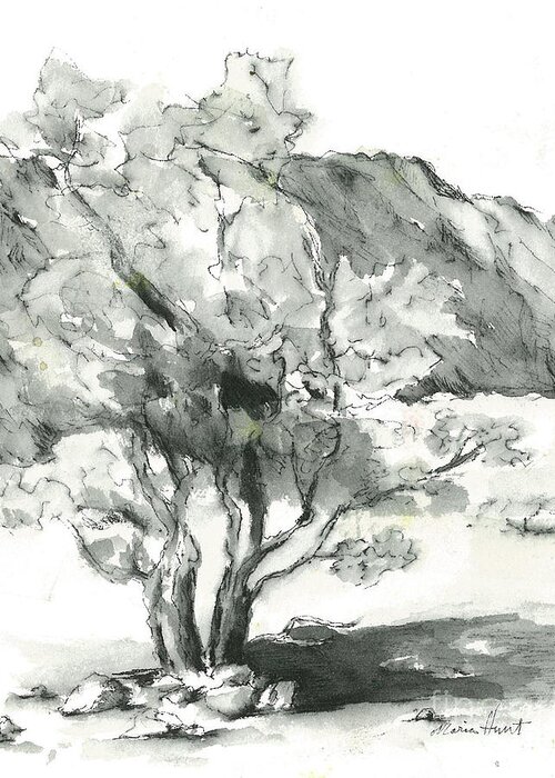 Mountains Greeting Card featuring the painting Graceful Smoketree by Maria Hunt