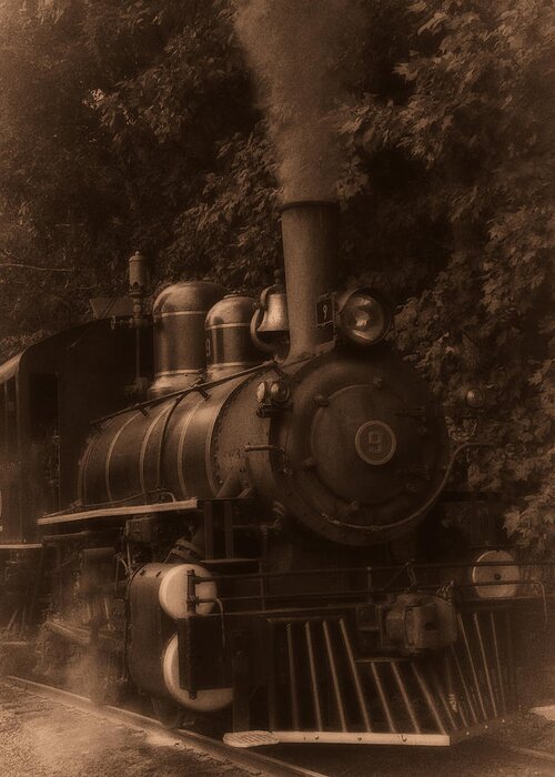 Steam Engine Train Greeting Card featuring the photograph Steam engine train sepia by Flees Photos