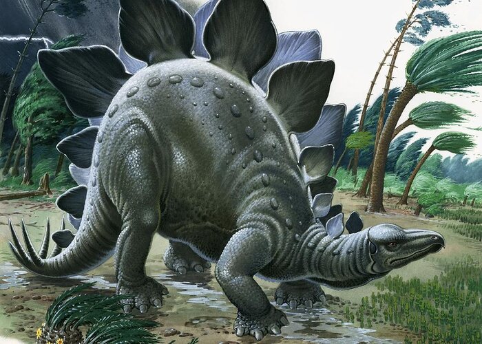 Stegosaurus Greeting Card featuring the painting Stegosaurus by English School
