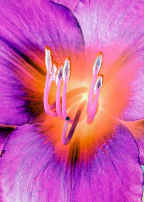 Flower Greeting Card featuring the photograph Stigma - PhotoPower 1073 by Pamela Critchlow