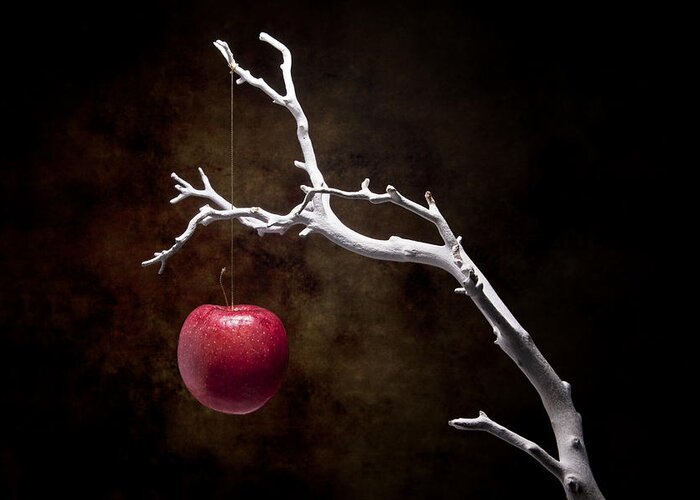 Apple Greeting Card featuring the photograph Still Life Apple Tree by Tom Mc Nemar
