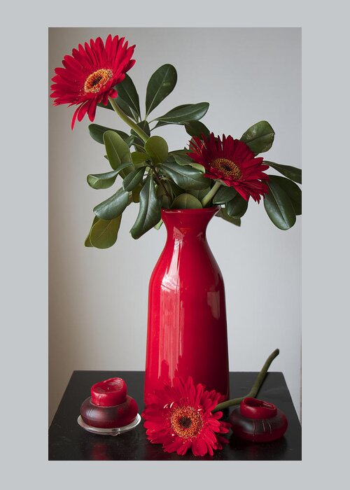Flowers Greeting Card featuring the photograph Still Life Flower Study in Red by Venetia Featherstone-Witty