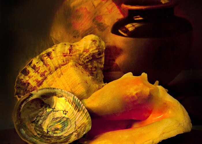 Chiaroscuro Greeting Card featuring the photograph Still Life With Shells by Theresa Tahara
