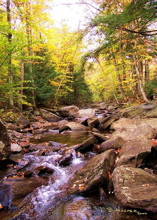 Champlain Greeting Card featuring the photograph Stone Brook I by R B Harper
