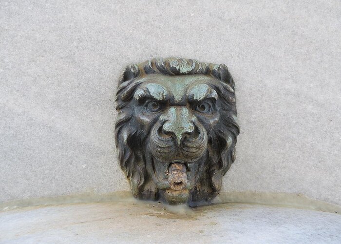 Lion Greeting Card featuring the photograph Stone Face by Aaron Martens