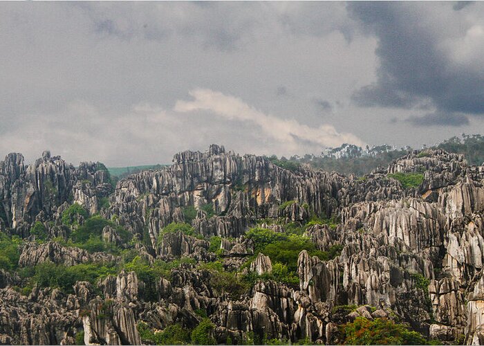 China Greeting Card featuring the photograph Stone Forest 2 by Robert Hebert