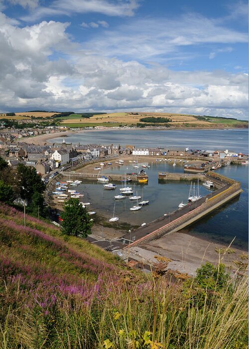 Stonehaven Greeting Card featuring the photograph Stonhaven Harbour Scotland by Jeremy Voisey