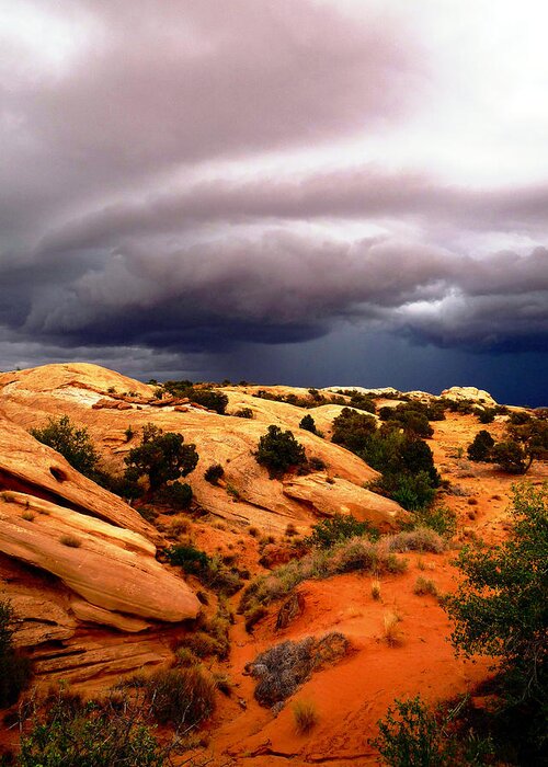 Storm Greeting Card featuring the photograph Storm in the Desert by Tranquil Light Photography