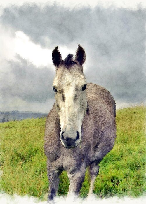 Horse Greeting Card featuring the photograph Storm by Kurt Van Wagner