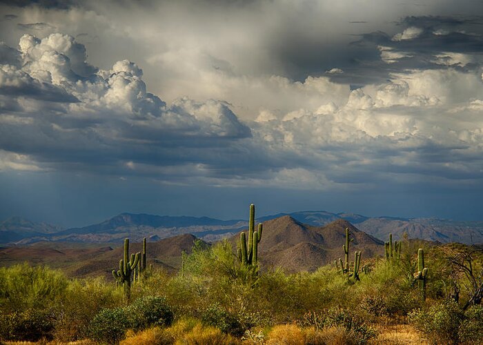 Arizona Greeting Card featuring the photograph Storms Over the Sonoran Desert by Saija Lehtonen