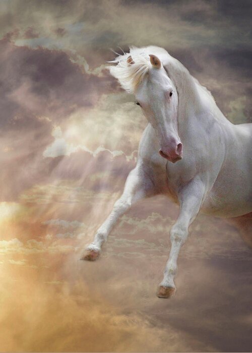 White Quarter Horse Greeting Card featuring the photograph Stormy by Melinda Hughes-Berland