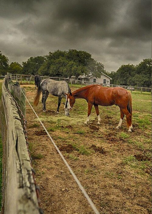 Horse Photograph Greeting Card featuring the photograph Stormy Skies by Kristina Deane