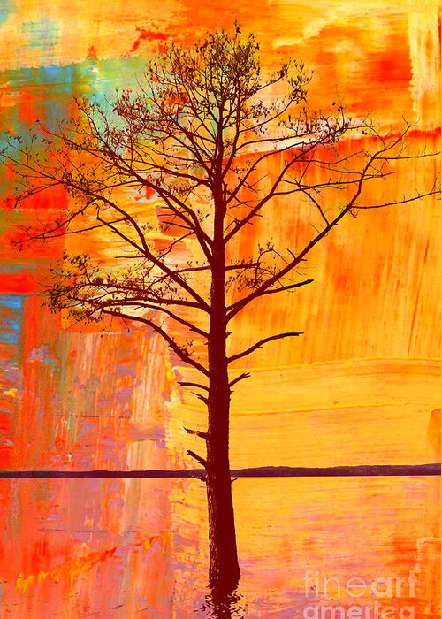 Tree Greeting Card featuring the photograph Stranded by Kelly Nowak