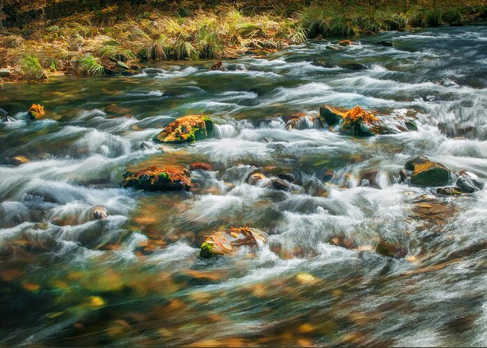 Stream Greeting Card featuring the photograph Stream Fall Colors Great Smoky Mountains Painted by Rich Franco