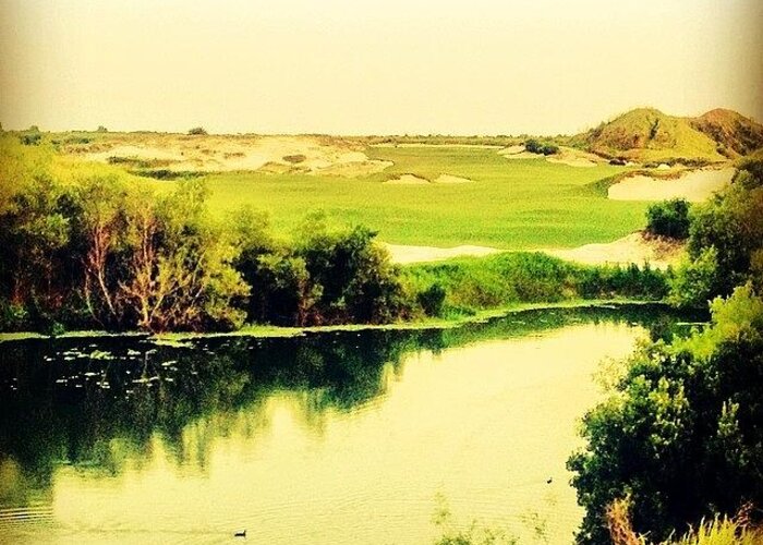 Iphone5 Greeting Card featuring the photograph Streamsong #golf #iphone5 #instagram by Scott Pellegrin