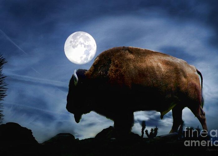 Buffalo Greeting Card featuring the photograph Strength by Stephanie Laird