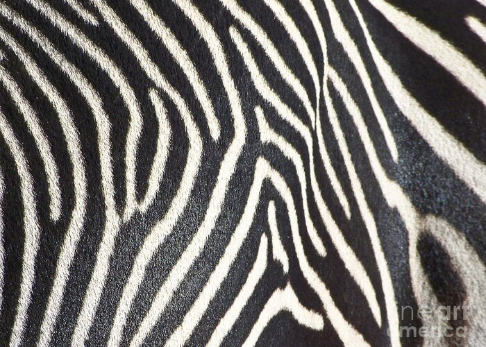 Animals Greeting Card featuring the photograph Stripes and Ripples by Kathy McClure
