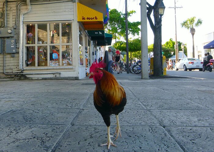Rooster Greeting Card featuring the photograph Strutting by Jon Emery