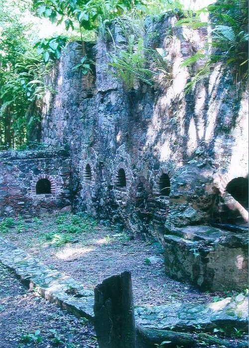 Cinnamon Bay Greeting Card featuring the photograph Sugar Mill Ruins by Robert Nickologianis