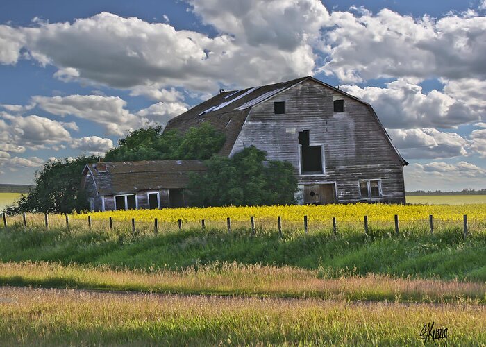Old Barn Greeting Card featuring the photograph Summer Barn 21 by Stan Kwong