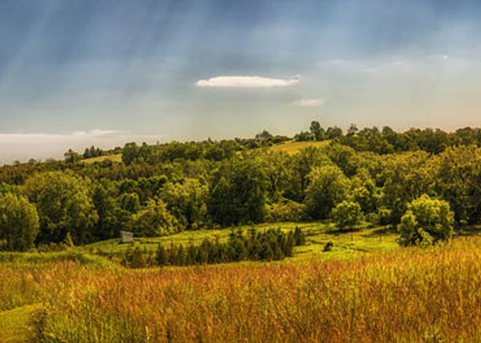 Landscape Greeting Card featuring the photograph Summer countryside by Elena Elisseeva
