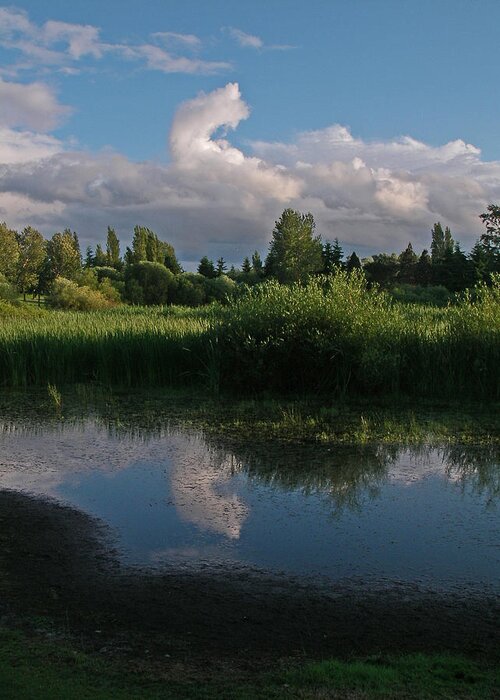 Summer Evening Landscape Pond Water Clouds Sky Greeting Card featuring the photograph Summer Evening by Laurie Stewart