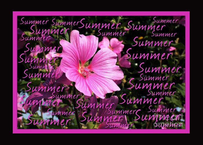 Greeting Card Greeting Card featuring the photograph Summer Greetings by Joan-Violet Stretch