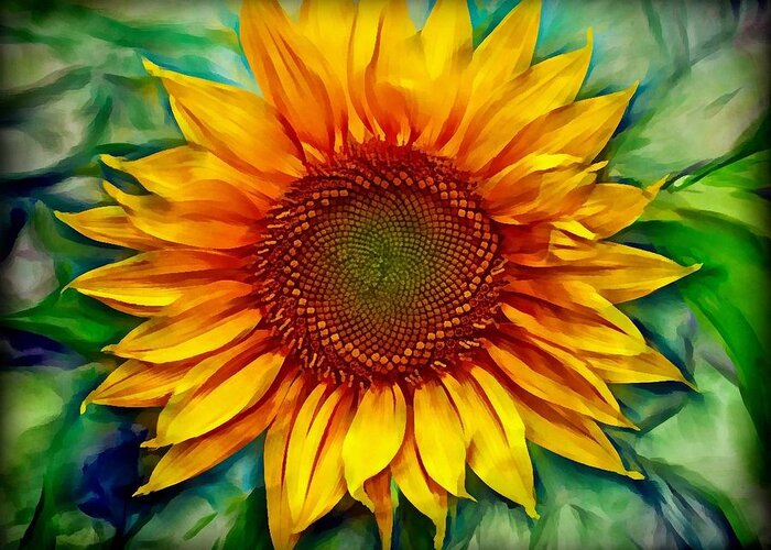 Sunflower Greeting Card featuring the photograph Sunflower - paint edition by Lilia S