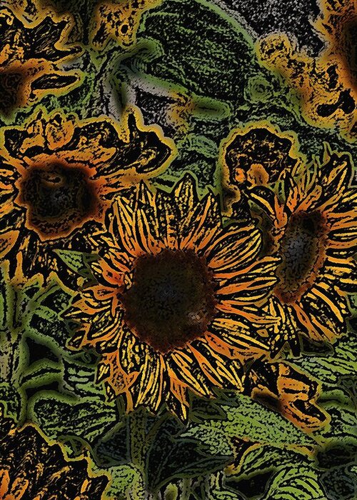 Floral Greeting Card featuring the photograph Sunflower 18 by Pamela Cooper
