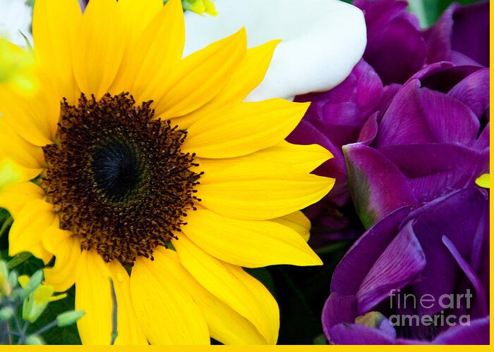 Sunflower Greeting Card featuring the photograph Sunflower And Company by Dana Kern