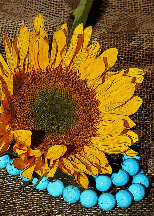 Sunflower Greeting Card featuring the photograph Sunflower Burlap And Turquoise by Phyllis Denton