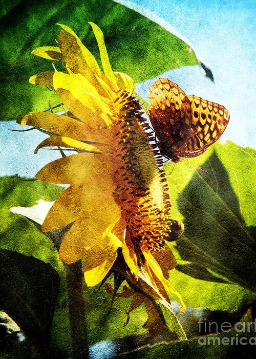 Beautiful Greeting Card featuring the photograph Sunflower Butterfly And Bee by Andee Design